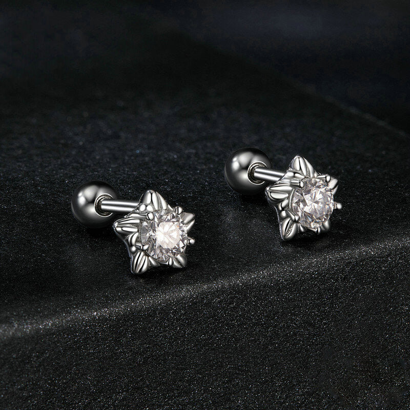 Cute Star Round-cut Moissanite Stud Earrings in Silver with Ball Back - side