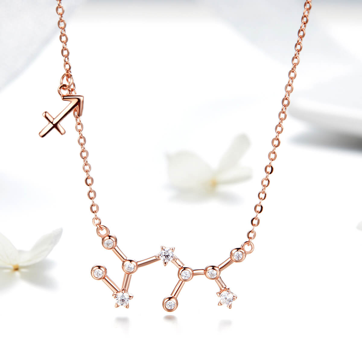 Signs of Zodiac Zircon Necklace in Sterling Silver Sagittarius front