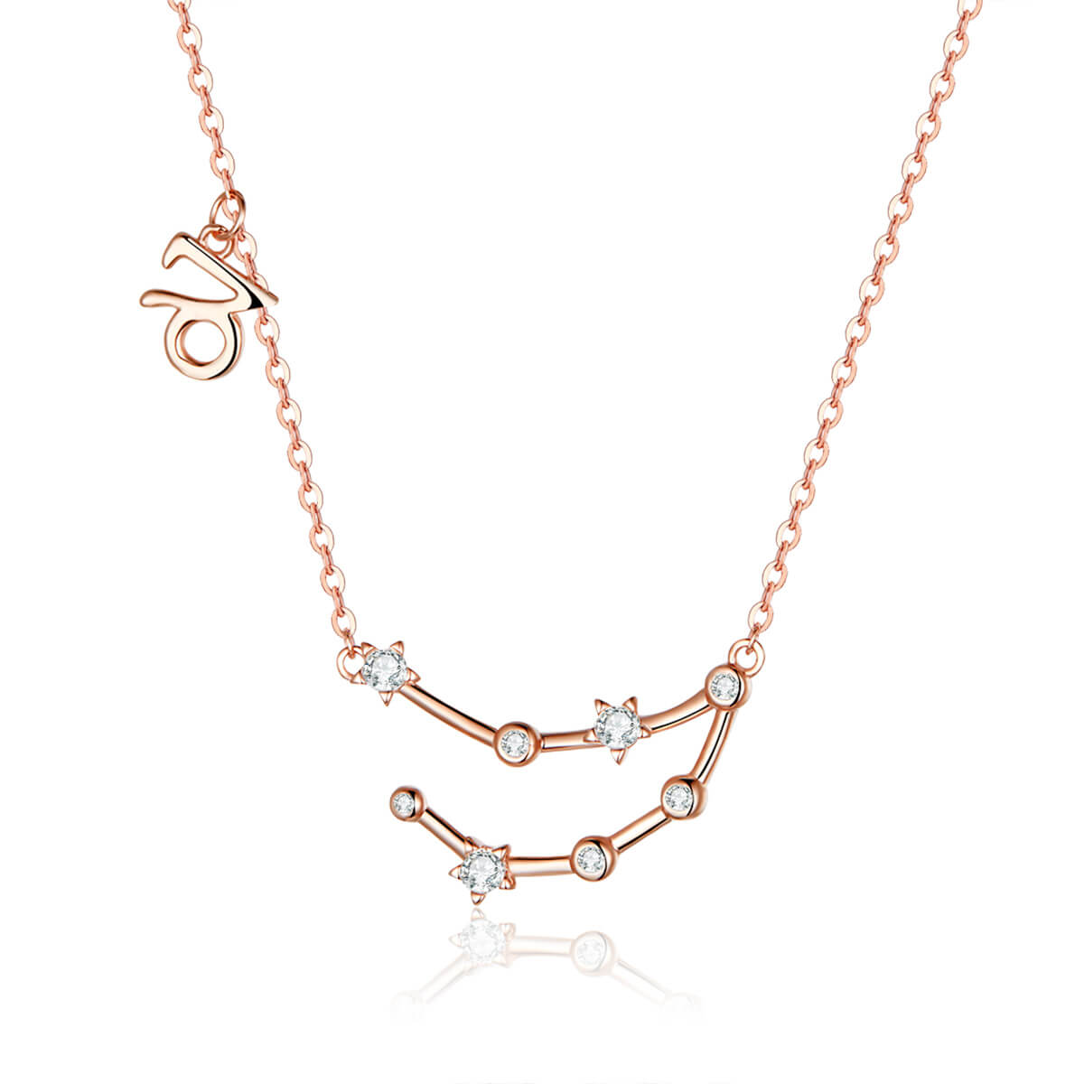 Signs of Zodiac Zircon Necklace in Sterling Silver Capricorn